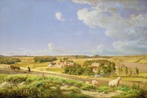 Boslandschap
